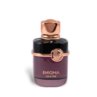 Enigma Quatre 100ml EDP by FA Paris (Fragrance World)